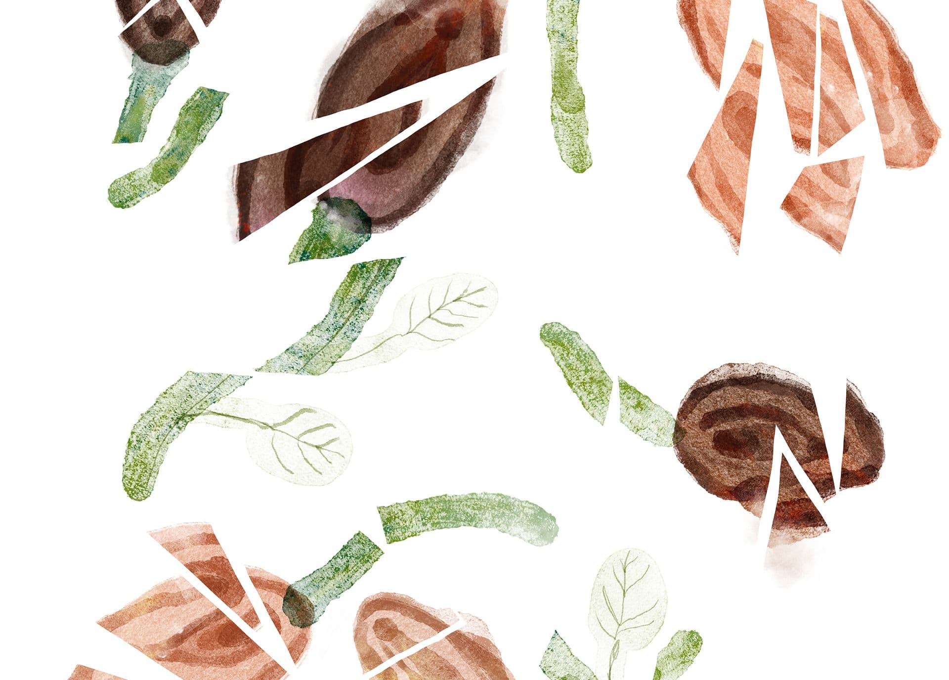 Tyttöjen silpominen – katkeamaton perinne?