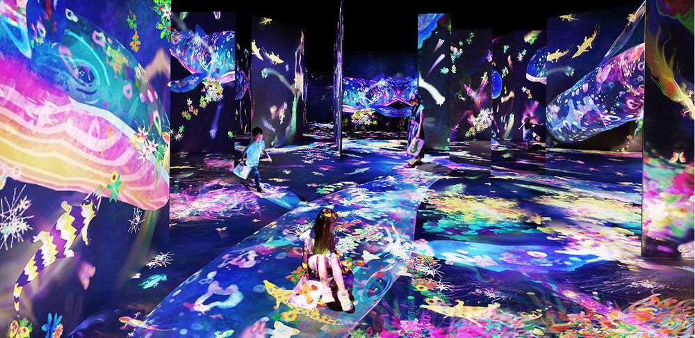 Amos Rexin ensimmäinen näyttely upottaa kävijän värikkääseen digitaaliseen taiteeseen